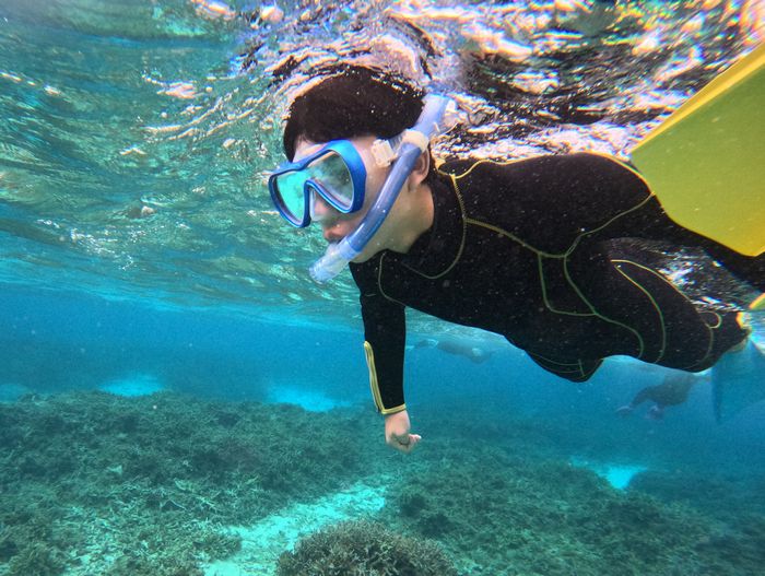 大冒険ユズキ君