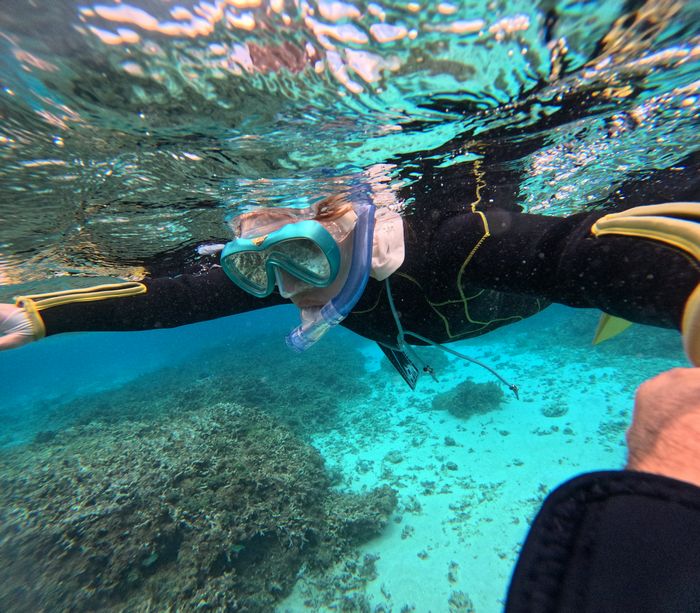 お母さんが一番の大冒険