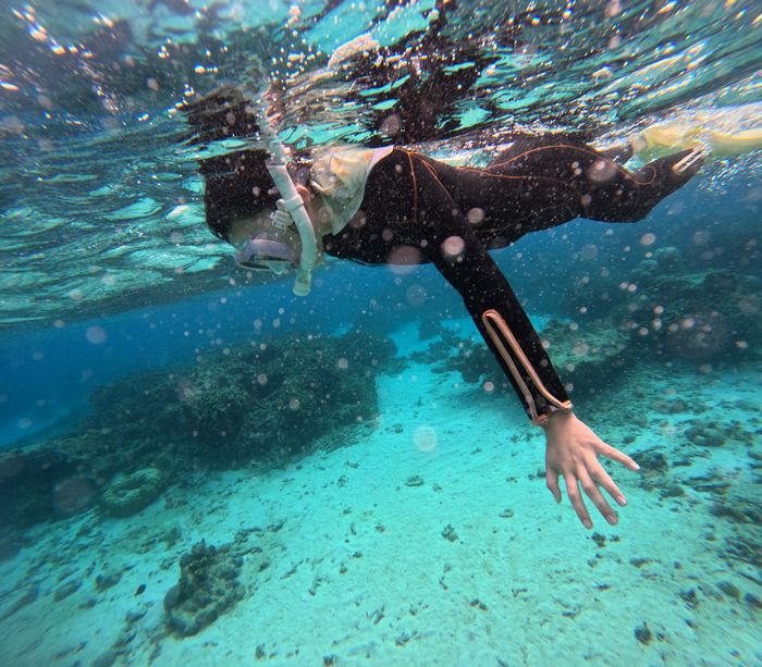 シズク姉さんも楽しみました。