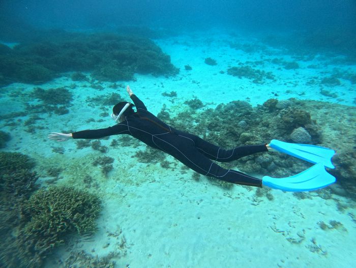 お父さんはドボン