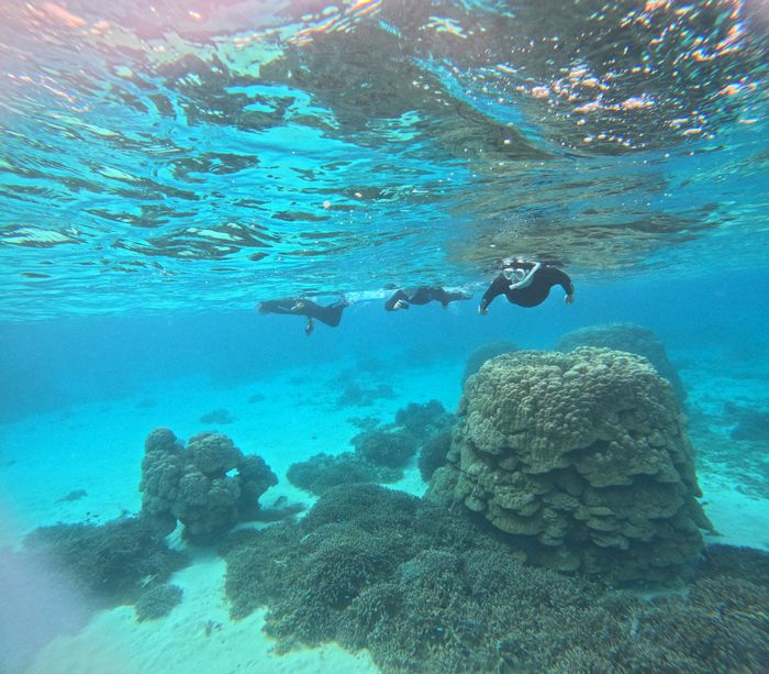 石垣島マラソン前はシュノーケリング