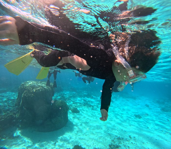 無敵キャラトウマ君