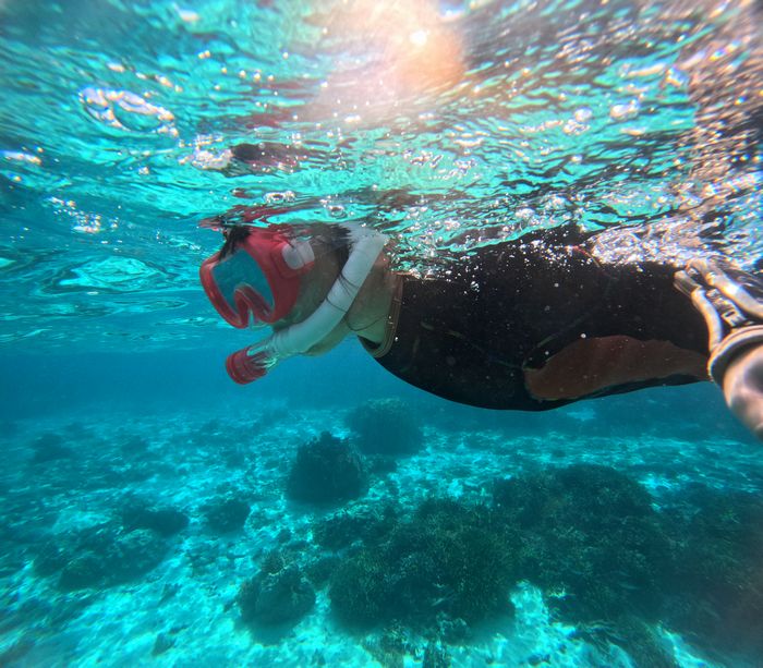 マスクデビューヒナタ姉さん