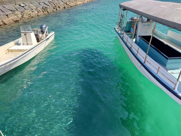 ミジュン、大集合