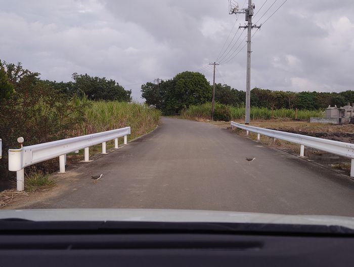 通過したと思ったらもう一匹
