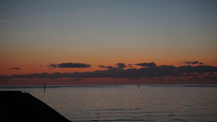 朝日の時間。。