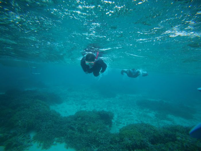 ベテランさんですから