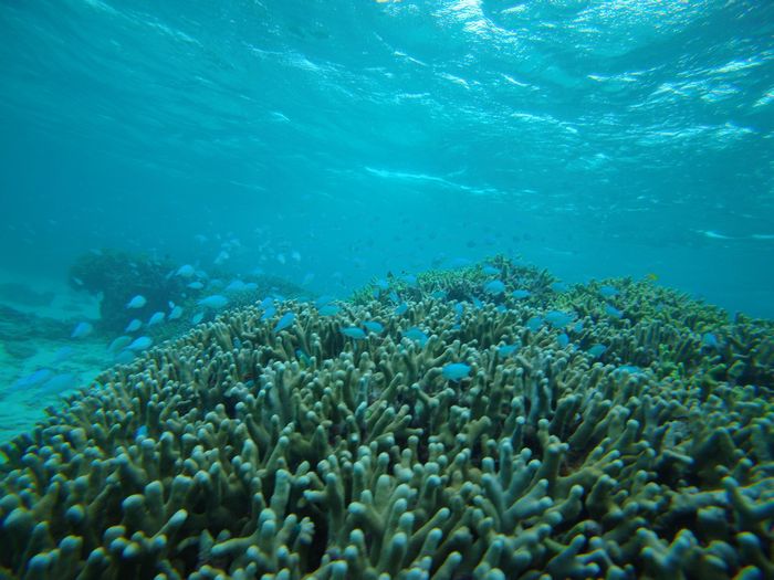 波ありなれど関係なし