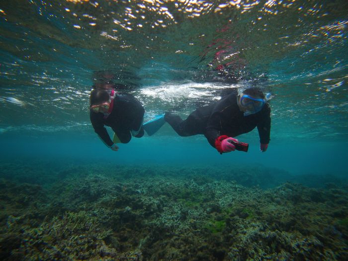 リピーターT村さん