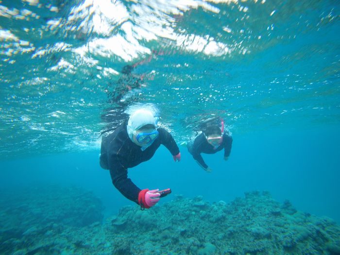 リピーターT村さん