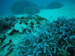 荒波→日程変更、石垣島旅行最終日はシュノーケリング！