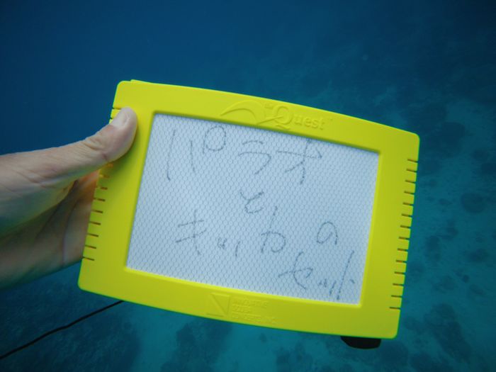 お得なセット、パラオとキッカ　水中ノート