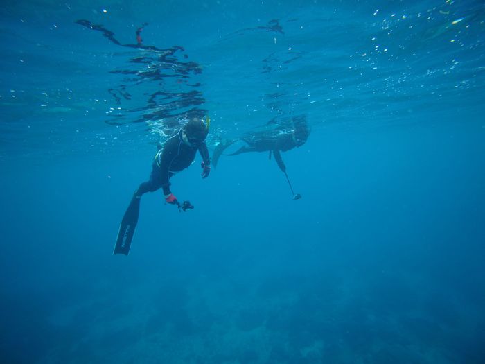 10時に石垣島到着後はシュノーケリング