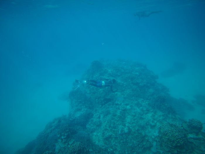 早速潜る旦那さん