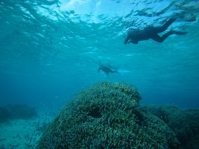 透明感溢れる水中