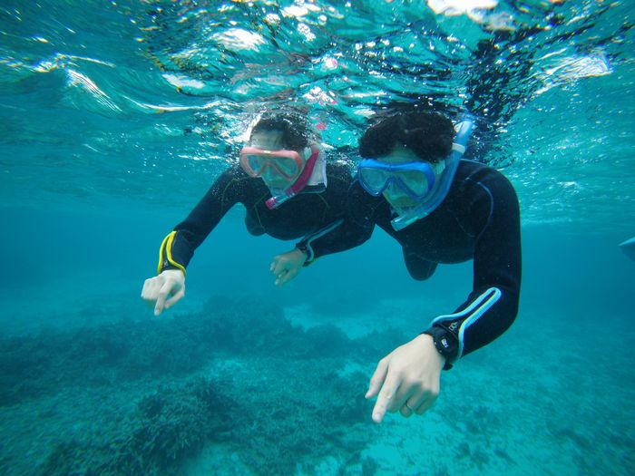 奥さんは妊婦さん