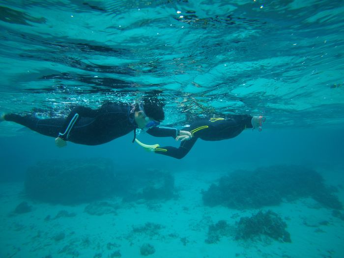 奥さんは妊婦さん、泳ぎ始める