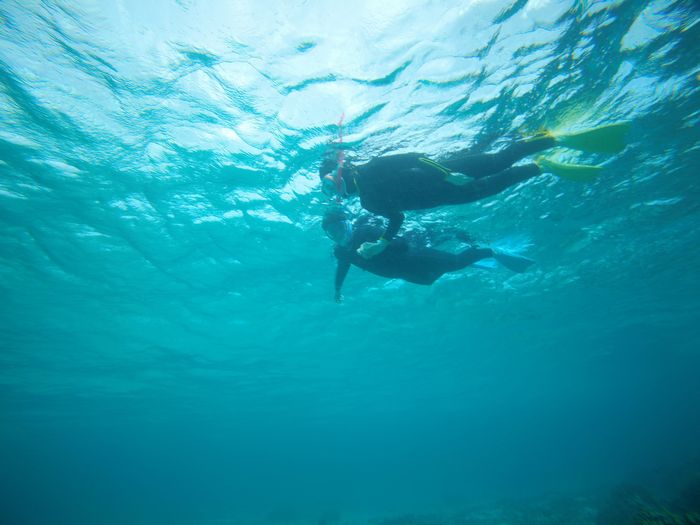 その眺める先には