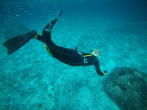 ある晴れた2月、今日はスキンダイビング的な一日でっ♪