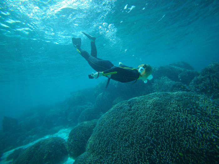 サンゴに向かって潜る