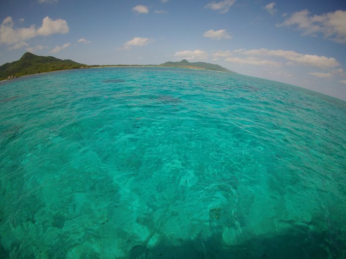 夢のような世界