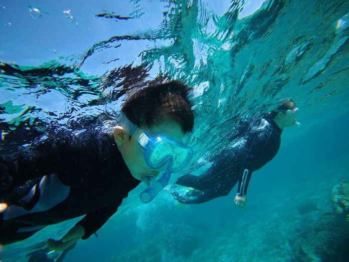 水中世界に没頭
