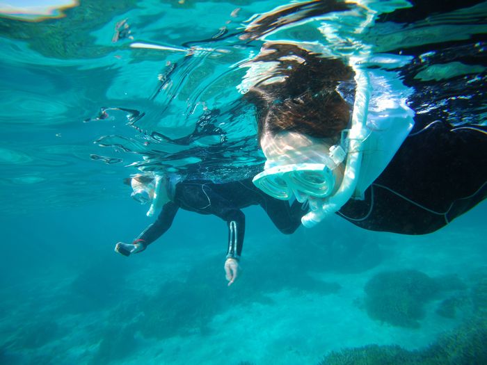 リピーターS田さん