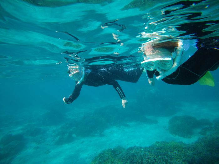 水中世界楽しみました