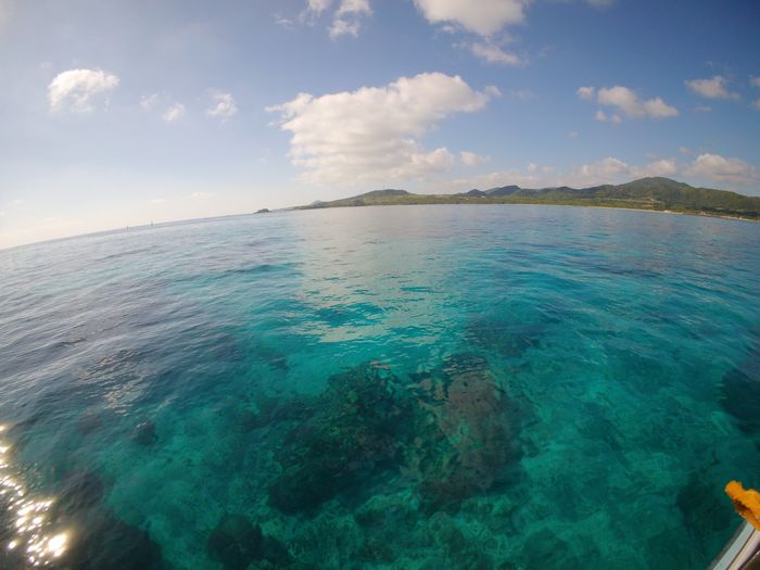 冬なのに穏やかすぎる海