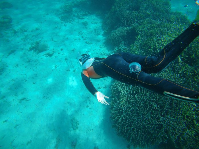 お姉さんも潜る