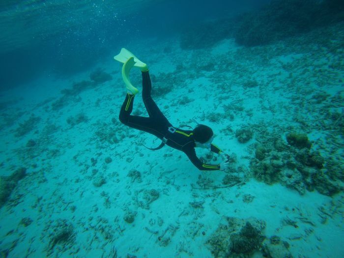 スキンダイビングを楽しむ