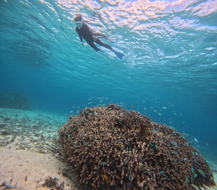 ご旅行初日からアクセル全開