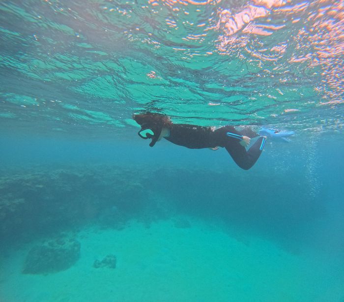 フィンキック、上達しました