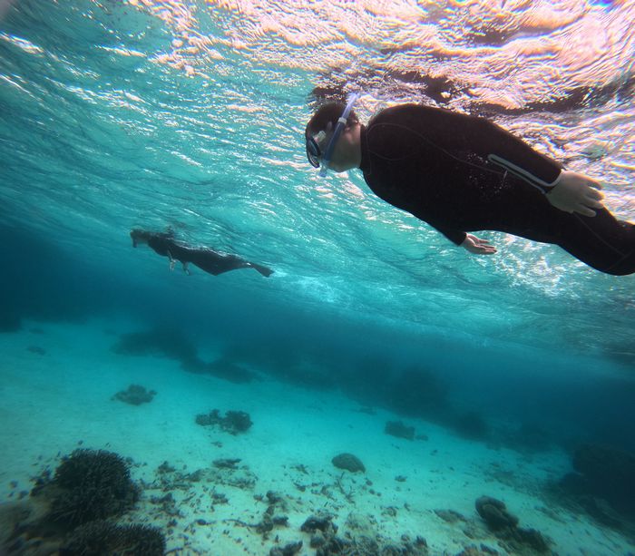 さぁコースを回っていきます
