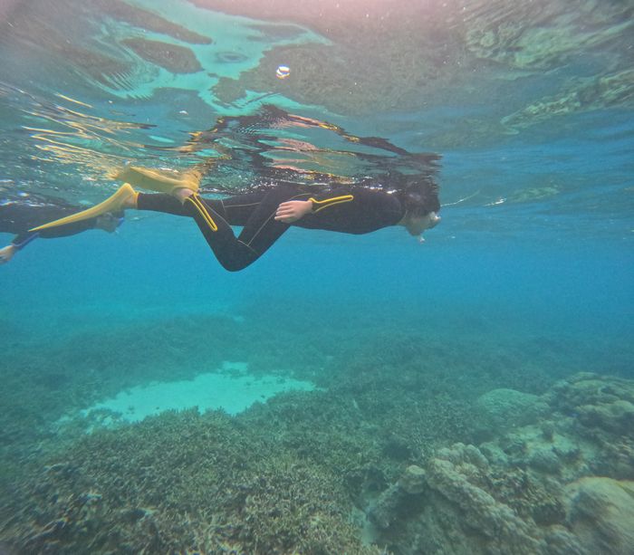 すっかりなれて、泳ぎ始める♪