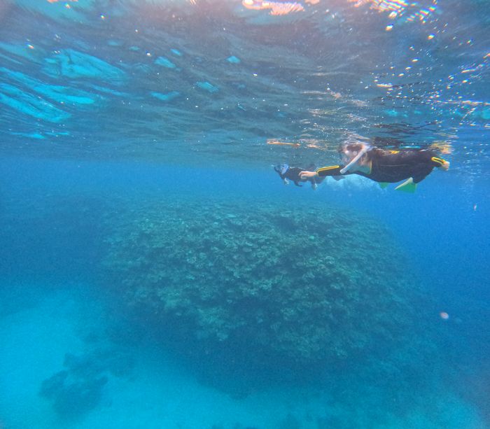 深場も楽しみました