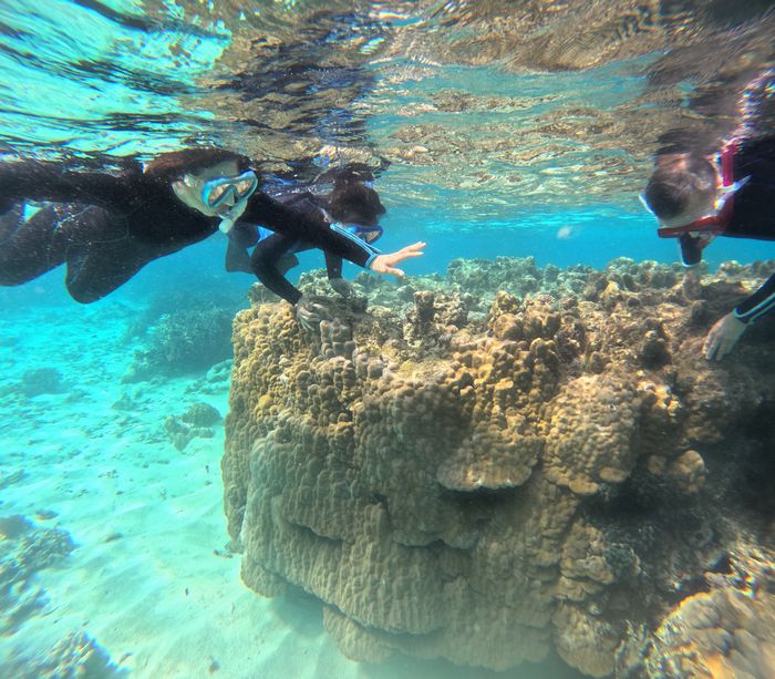 おじいちゃんもおばあちゃんも