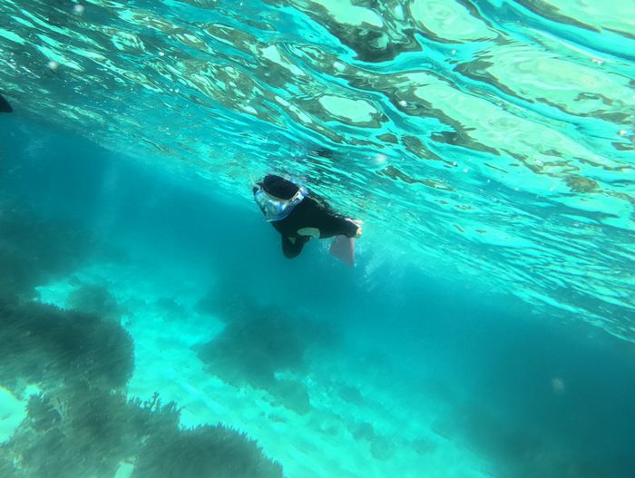 コツをつかめばかろやかに泳ぐ