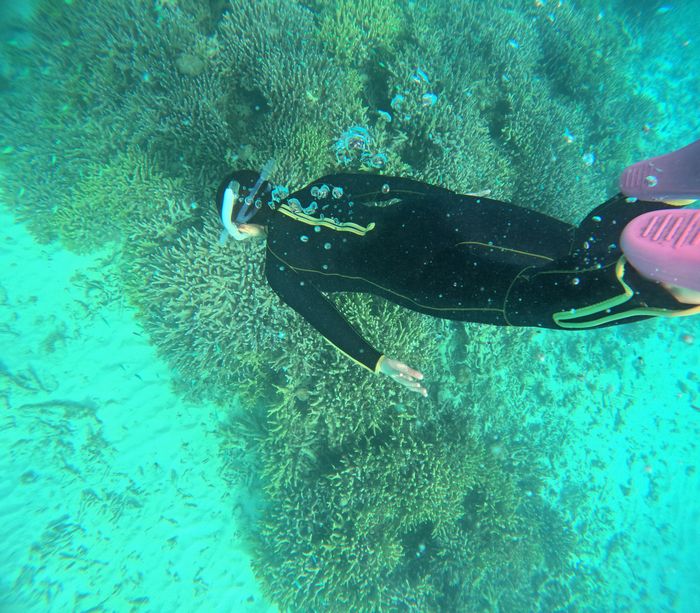 奥さん素潜りトライ