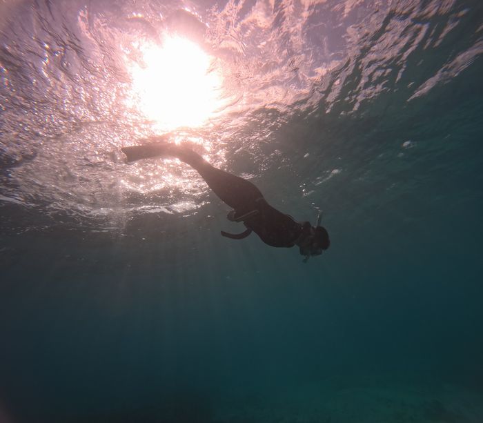 太陽さん、神々しく