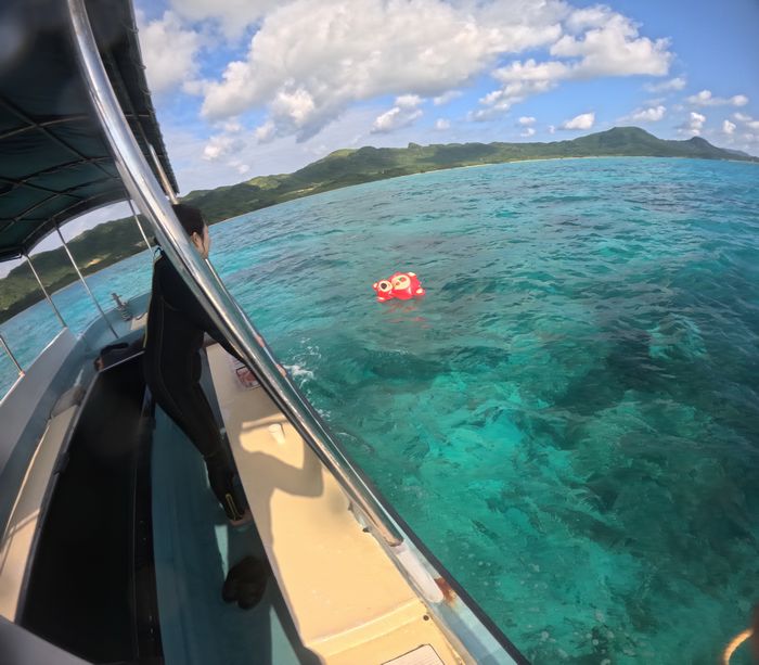 水面にいるのはクマ