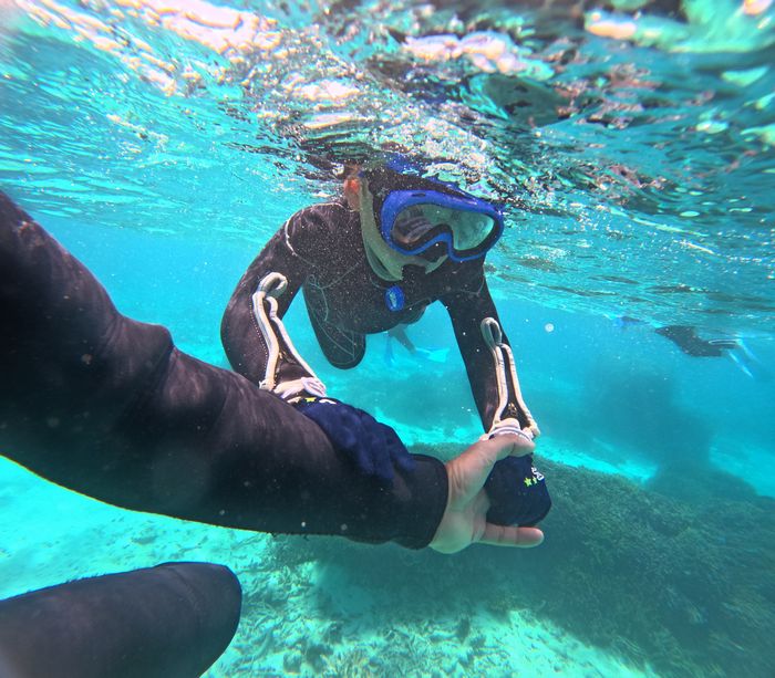 マスクデビューリベンジ