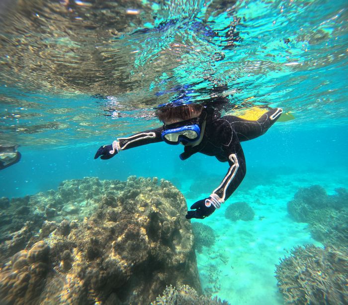 すっかり一人泳ぎ、マスクデビュー成功