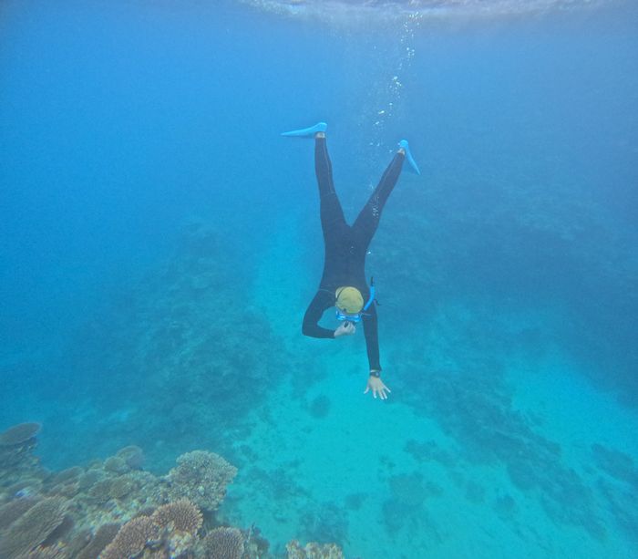 お父さんは潜る