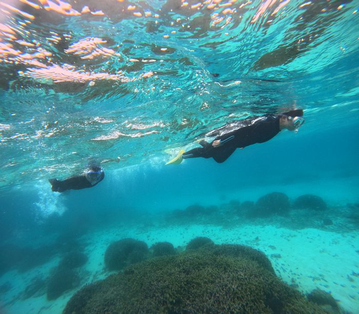颯爽と泳ぎ始めて
