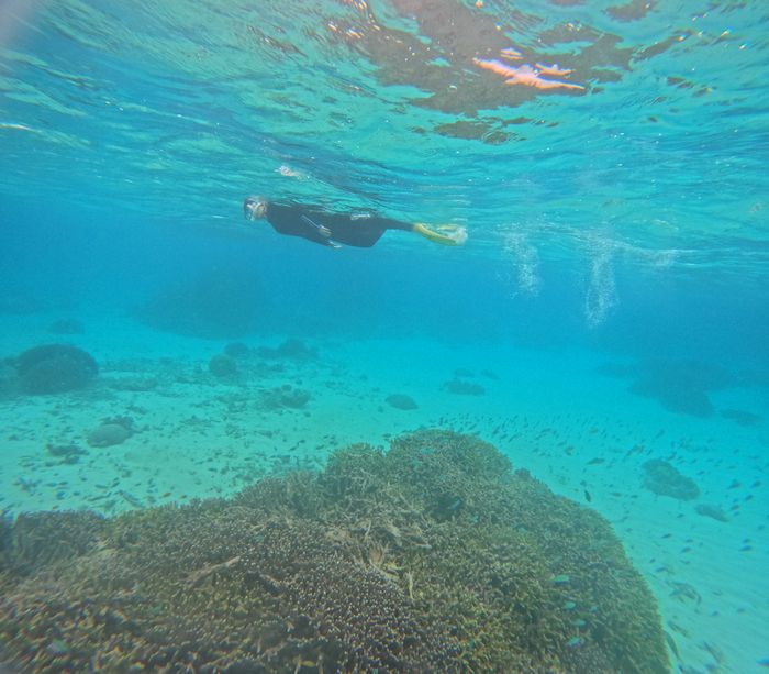 奥さんもぐいぐい泳ぐ