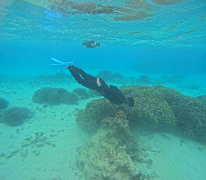 旦那さんは潜る