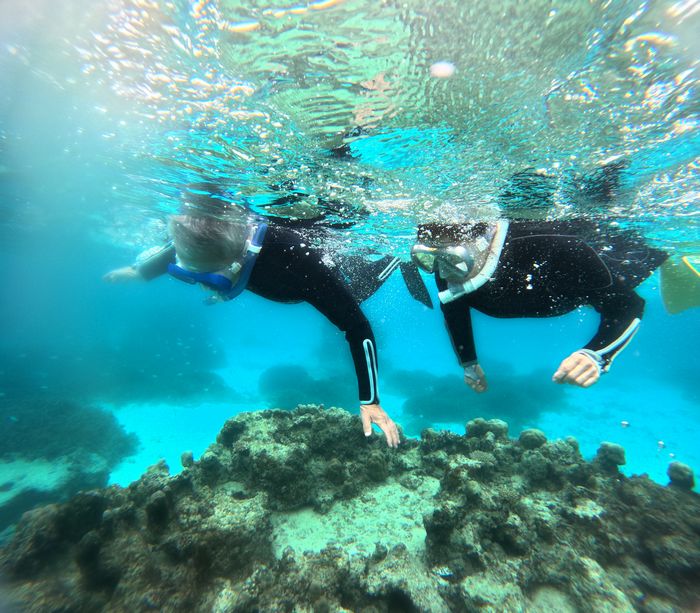 30年ブランク解消シュノーケリング