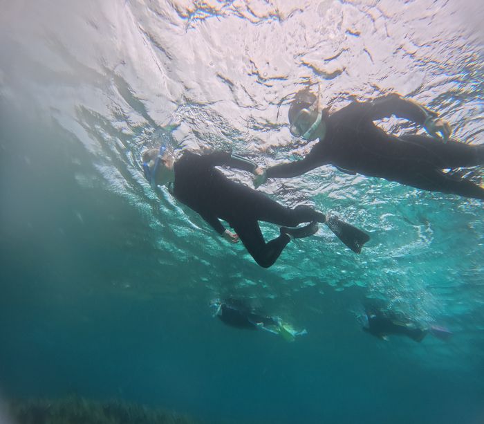 さぁコースを回っていきます