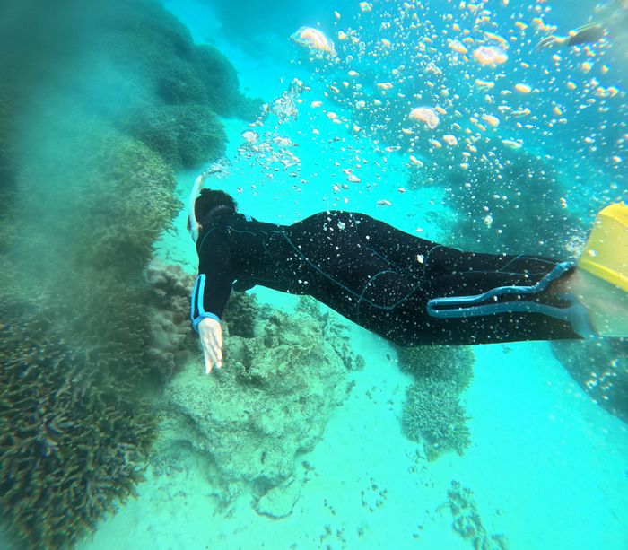 素潜りトライのK藤さん